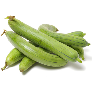 肉丝瓜种子丝瓜种籽四季特大春早熟蔬菜丝瓜种孑农家春夏丝瓜种子