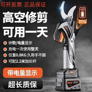 德国进口泛音电动修枝剪剪刀果树充电式进口锂电剪树枝电剪子