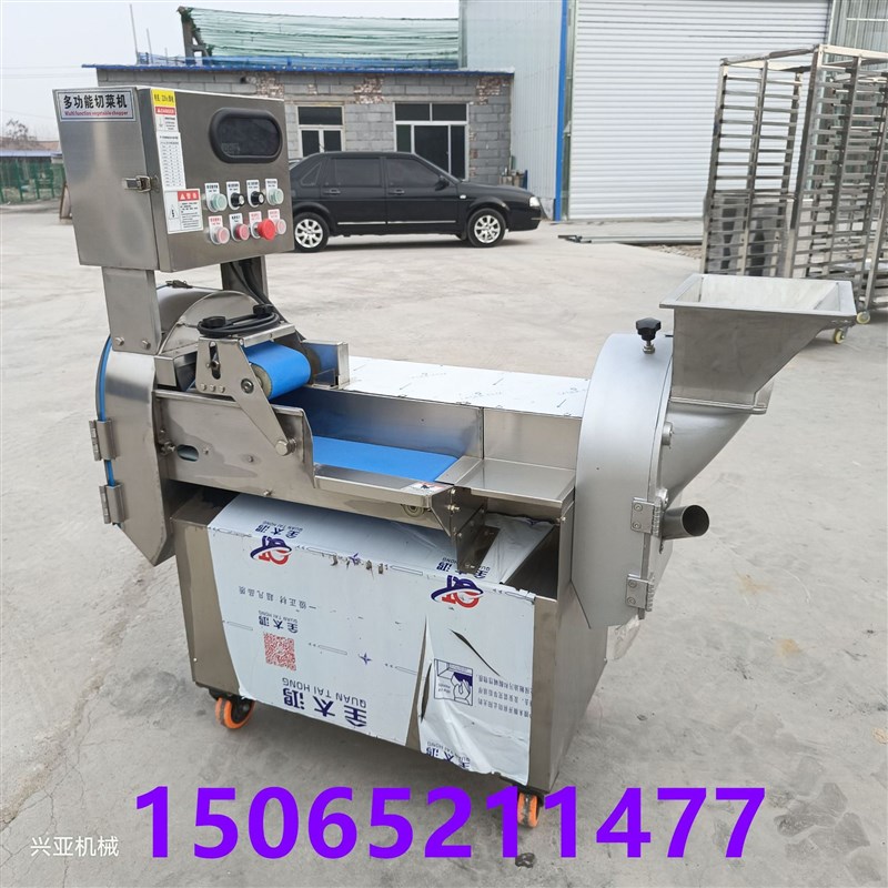 商用豆角切段机 大头w菜切丝切片切丁机 双头切菜机