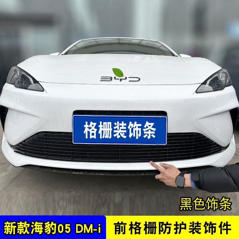 比亚迪海豹05 dmi中网外x观改装前杠格栅防虫网用品配件装饰亮条