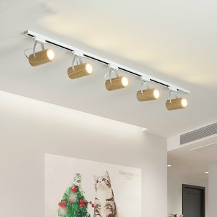 spotlight zLED and track com consumer light Nordic ladies