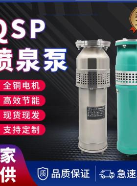 广场潜水泵强动力QSP喷泉专用泵农田灌溉喷泉景观泵大流量水浸式