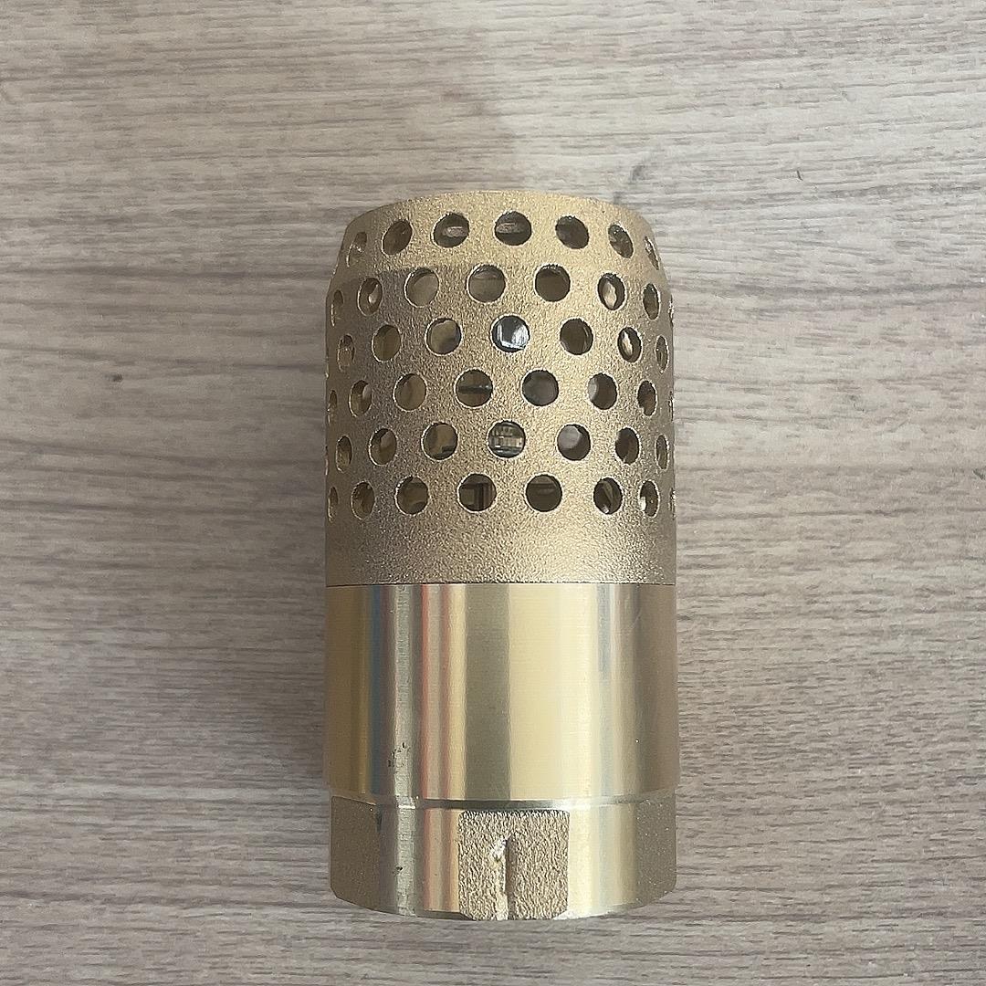 全铜网铜底阀吸水泵弹簧立式止回阀防倒流立式底阀DN20dn25井底阀