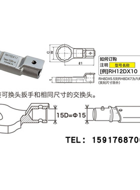 。RH19DX41梅花扳手头RH22DX19扭力扳手头 TOHNICHI东日RH22DX22