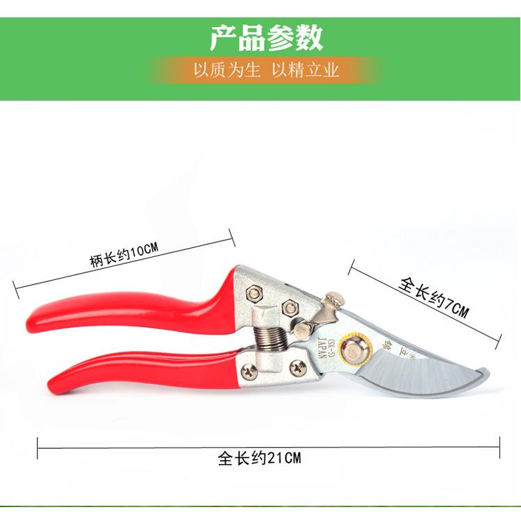 SK-5园艺剪刀家用园林修枝剪摘果剪花园剪果树剪花枝剪子剪树枝剪
