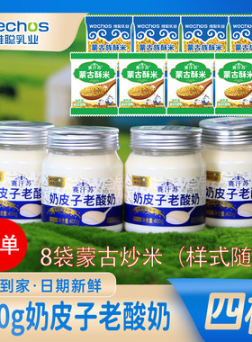 （顺丰快递）4罐赛汗苏酸奶内蒙奶皮子酸奶特产老式酸奶罐装