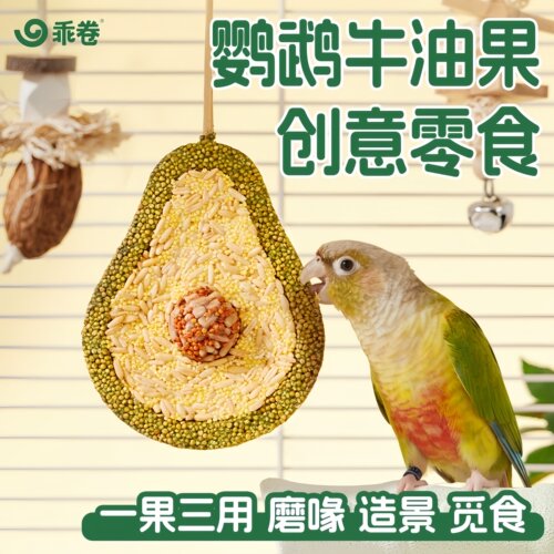 乖卷鹦鹉零食磨喙造景牛油果创意玩具小太阳鹦鹉通用 营养 啃咬品