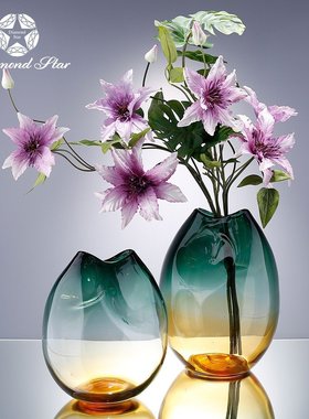 钻石星双色渐变玻璃花瓶家居高级感彩色水培插花器摆件批发花瓶
