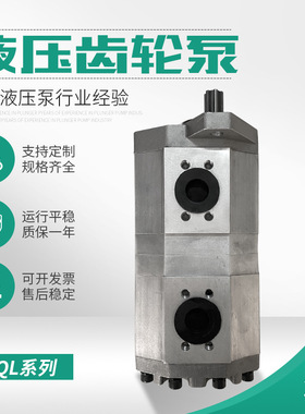 供应CBQL-F540/F525-CFHL双联齿轮泵 液压齿轮泵批发 双联泵