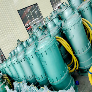 水泵实力厂家BQS系列矿用隔爆型潜水排沙排污泵315KW潜水电泵规格