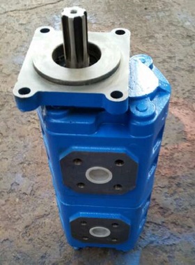 厂家供应CBZ2050/2040齿轮泵