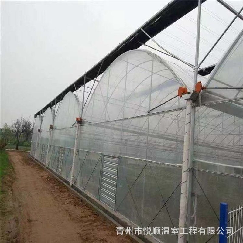 厂家制作 薄膜连栋温室大棚 日光温室 生态环保薄膜温室大棚,个人护理/保健/按摩器材,汗蒸袋,淘宝优惠券,粉丝福利购,淘宝优惠卷