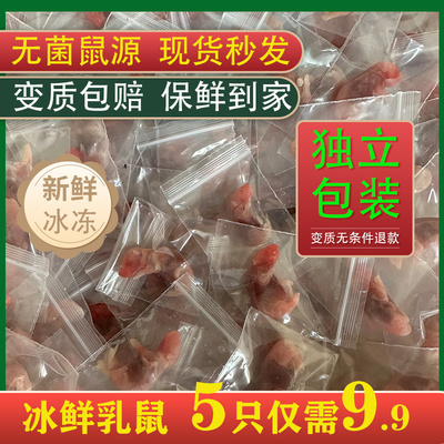 【包新鲜】冰冻乳鼠冷冻小白鼠幼鼠红皮开口独立包装角蛙爬宠喂猫