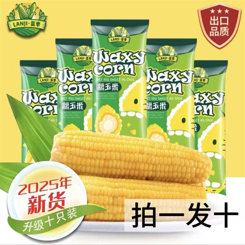 蓝季黑龙江黄糯玉米10支2800g/箱2025年新玉米东北黄糯玉米真空装