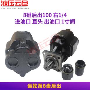 自卸车翻斗车齿轮泵油泵阀连体双联泵举升泵陕汽重汽适配海沃100