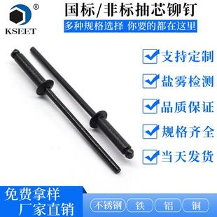 全黑色抽芯铆钉铝制烤漆拉铆钉铝铁黑色拉钉