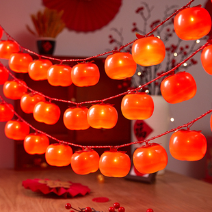 新年彩灯氛围灯过年柿子灯串2026春节阳台装饰灯挂灯福字蛇年灯饰