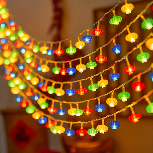 新年红灯笼中国结彩灯闪灯串灯春节装饰福字挂件室内阳台氛围灯