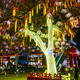led彩灯串灯幻彩防水绕树灯带户外树木亮化造型灯流水跑马装饰灯