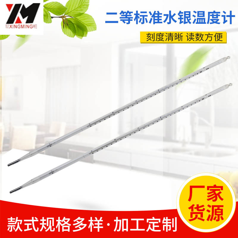 二等标准水银温度计 WBG-0-2型250-300℃ 分度值0.1℃玻璃温度计