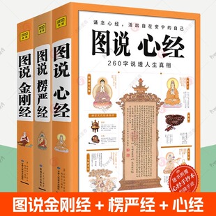 深度学习了解佛学经典 来源历史 佛学佛经学着研究经典 图说金刚经 经文白话解读 楞严经 全彩图解版 经书禅修经文读本 心经