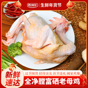 【善缘佳】富硒老母鸡农家散养土鸡老母鸡滋补养生整鸡整只调理
