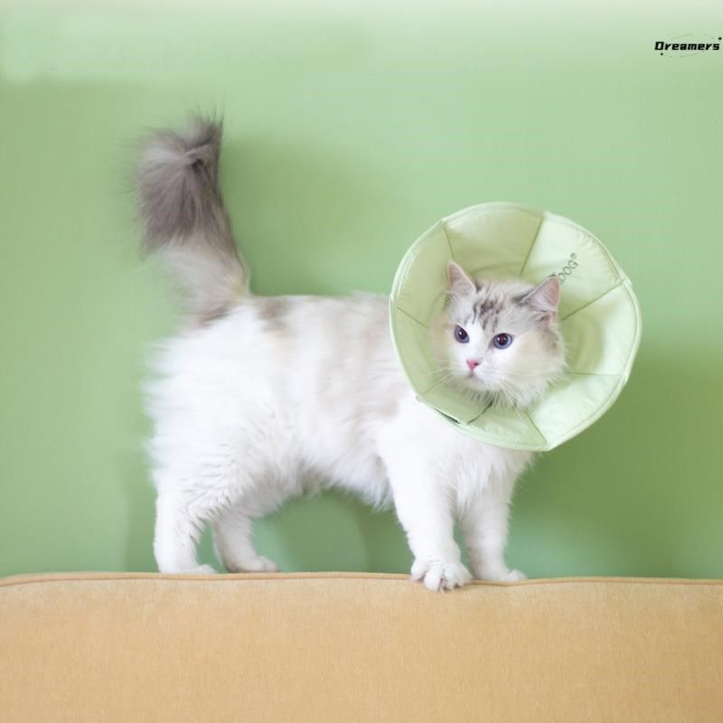 伊丽莎白圈猫h咪夏季可吃饭狗狗实用狗小型犬头套防咬防舔宠物厂,宠物/宠物食品及用品,宠物伊丽莎白圈,淘宝优惠券,粉丝福利购,淘宝优惠卷