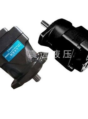 M4SC-055-3N00-Aq502叶片马达M4D1-113-3N00-B102压铸机马达