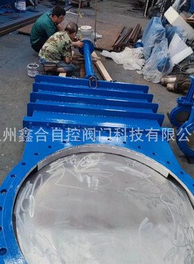 生产销售大口径阀门电动刀闸阀排渣x阀插板阀PZ973H-10-DN1200