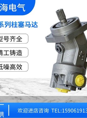 新款上海电气A2F28R6.1B3 A2F8y0R6.1P5 A2F107W6.1P6 柱塞泵回转