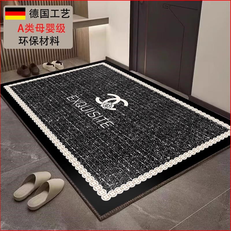 德国地垫入户门h垫进门轻奢耐脏免洗地毯门口换鞋脚垫家用2025新