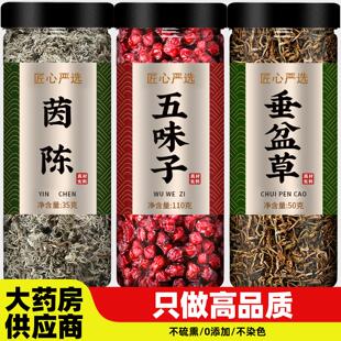 茵陈五味子垂盆草茶中药材正品官方旗舰店和茶包新鲜野生泡水喝干