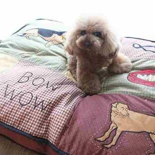 极速垫子猫窝空i调秋冬狗窝全可拆洗涤棉I大空调可作窝保暖垫带棉