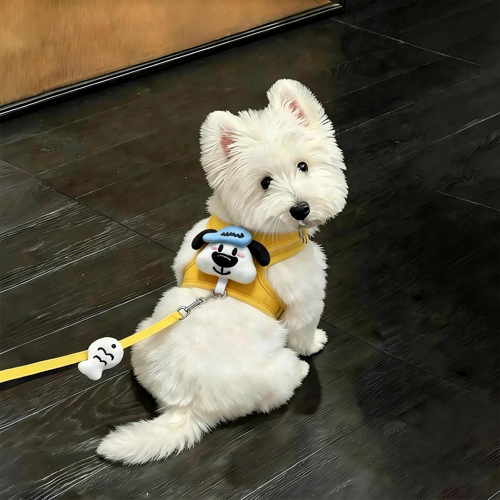 狗狗牵引绳小型犬胸背带可调节图片