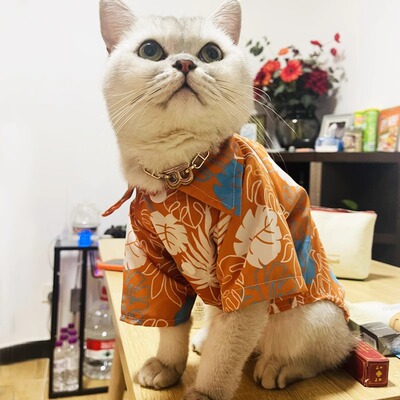 Catdog猫咪衣服夏季清凉沙滩防晒