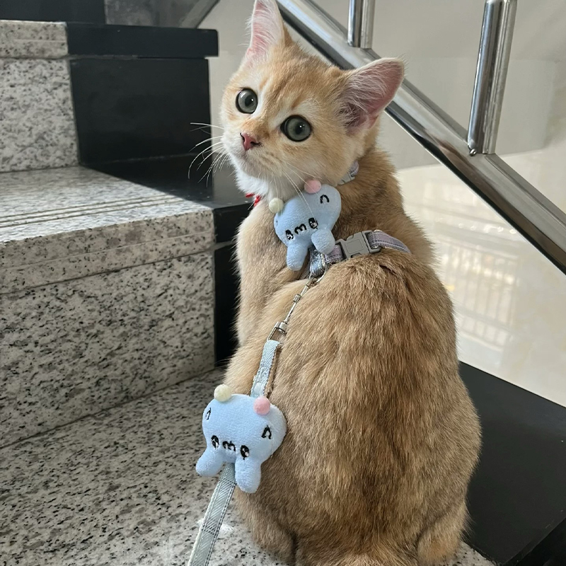 猫咪牵引绳防挣脱外出专用