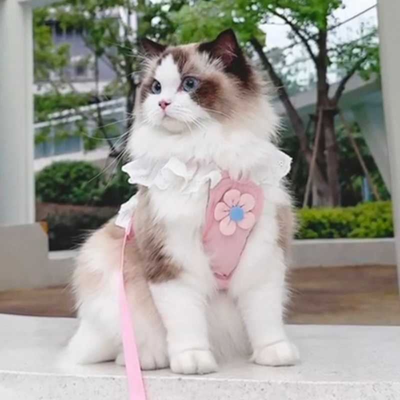 猫咪牵引绳甜美可爱小花JK背心式