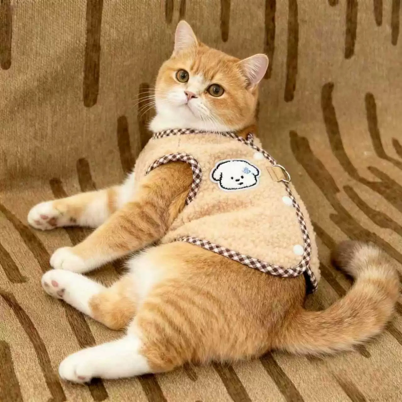 猫咪衣服秋冬款保暖流汗小狗马甲