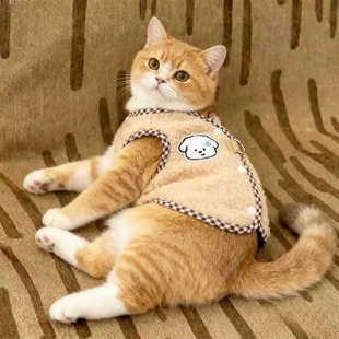猫咪衣服秋冬保暖流汗小狗马甲可牵引银渐层布偶橘猫宠物狗狗背心