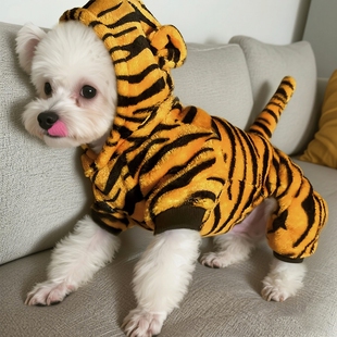 狗狗衣服秋冬季搞笑老虎变身装猫咪四脚衣保暖防掉毛幼犬宠物服装