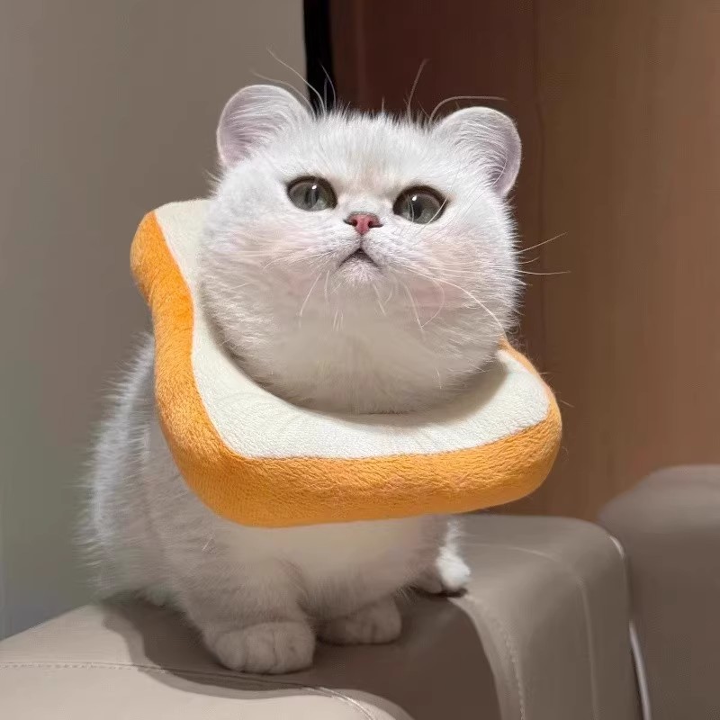 伊丽莎白圈猫咪项圈可调节术后