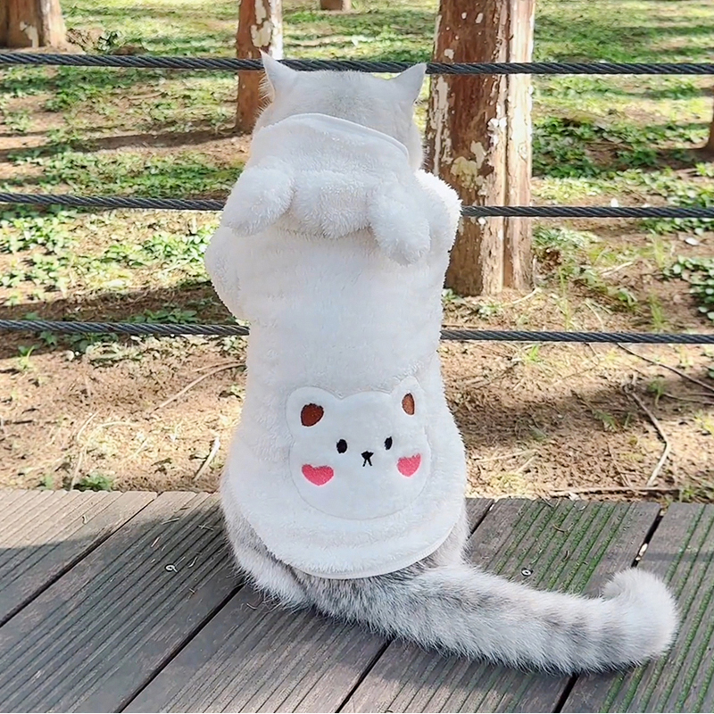 猫咪衣服秋冬款可爱熊毛绒带帽狗