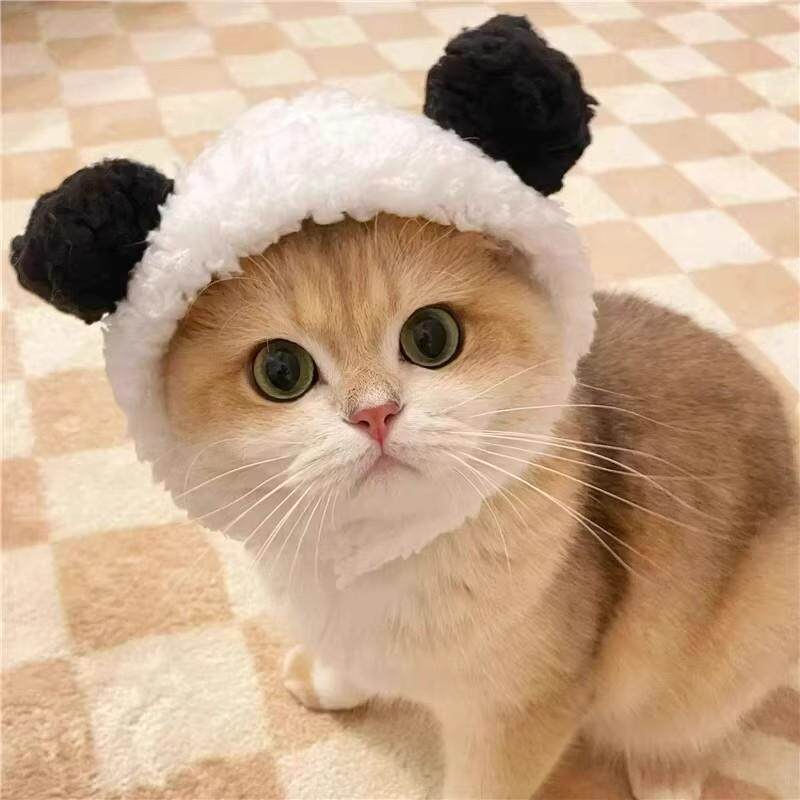 变身装网红头套可爱变装小猪帽子