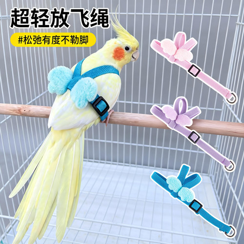 鹦鹉放飞绳不勒脚牵引绳溜鸟绳