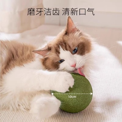 猫咪玩具宠物用品布偶超大薄荷球