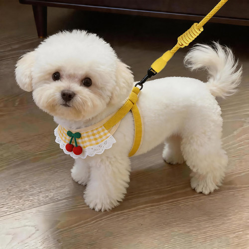 狗狗牵引绳遛狗链子小型犬专用
