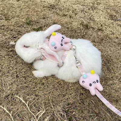 网红小兔子牵引绳可爱舒适侏儒兔