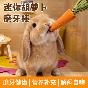 兔子胡萝卜磨牙棒仓鼠兔兔零食龙猫荷兰猪豚鼠金丝熊磨牙神器造景