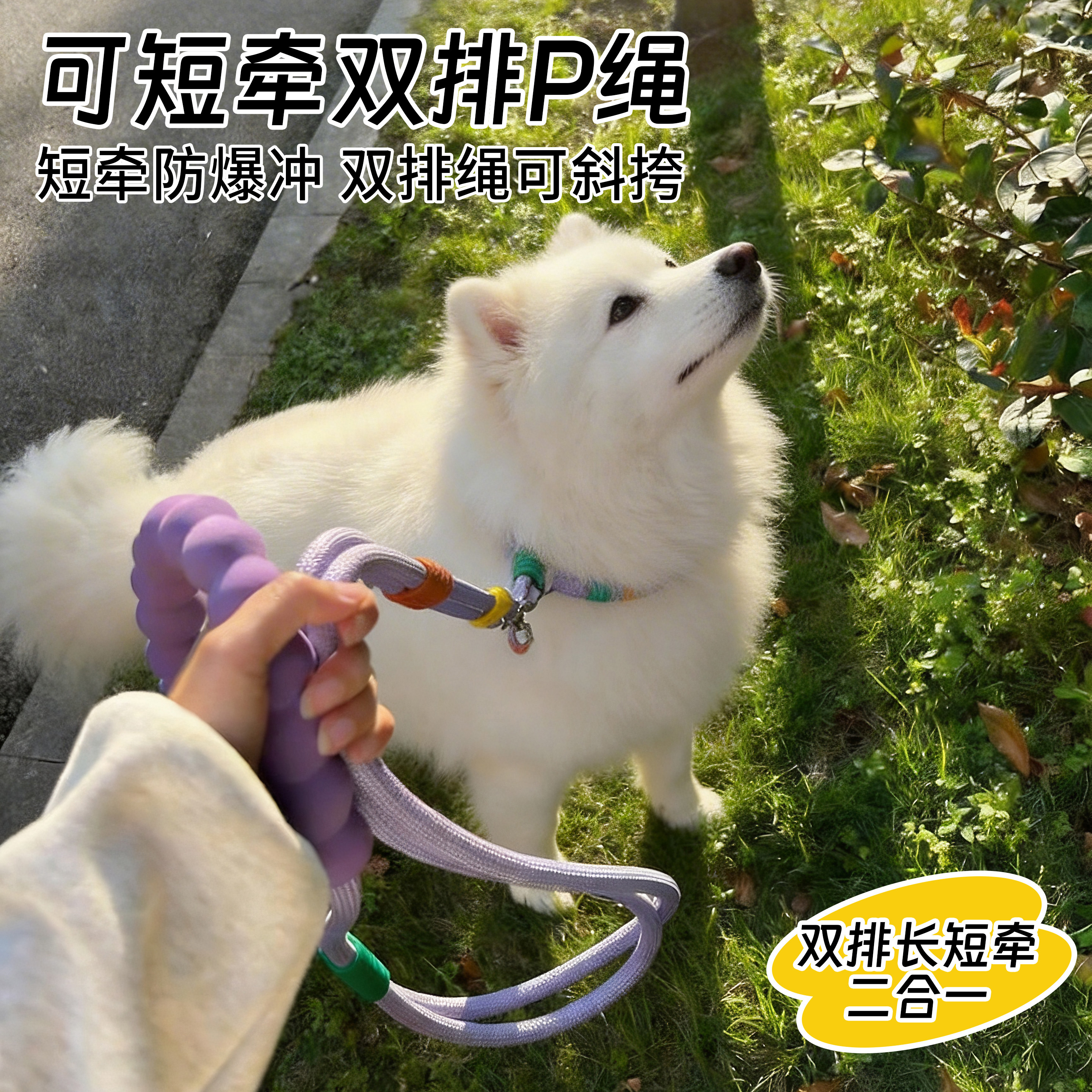 狗狗牵引绳防爆冲p绳防挣脱P链小中大型犬多功能拴狗绳子遛狗神器
