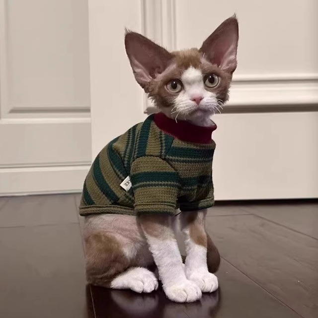 猫咪衣服秋冬款保暖条纹背心